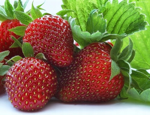 Polka późna
